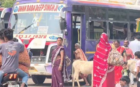 त्योहारी सीजन में महंगाई का झटका, छत्तीसगढ़ में बस किराया 40% तक बढ़ा