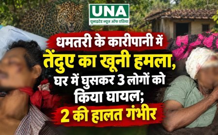 धमतरी के कारीपानी में तेंदुए का खूनी हमला, घर में घुसकर 3 लोगों को किया घायल; 2 की हालत गंभीर