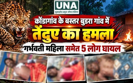 कोंडागांव के बस्तर बुडरा गांव में तेंदुए का हमला, गर्भवती महिला समेत 5 लोग घायल