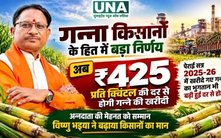 छत्तीसगढ़ में गन्ना किसानों को बड़ी सौगात, खरीदी दर 355 से बढ़कर 425 रुपये प्रति क्विंटल