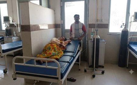धमतरी के नगरी में जहरीला कंद खाने से तीन महिलाएं बीमार, अस्पताल में भर्ती; डॉक्टर ने बताया खतरे से बाहर