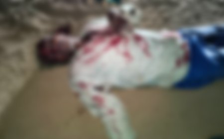 धमतरी के नगरी-सिहावा में तेंदुए का आतंक, 9 लोगों को घायल करने के बाद ग्रामीण तेजलाल यादव पर जानलेवा हमला