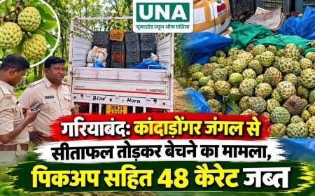 गरियाबंद: कांदाडोंगर जंगल से सीताफल तोड़कर बेचने का मामला, पिकअप सहित 48 कैरेट जब्त