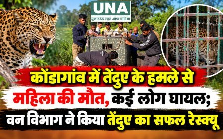 कोंडागांव में तेंदुए के हमले से महिला की मौत, कई लोग घायल; वन विभाग ने किया तेंदुए का सफल रेस्क्यू