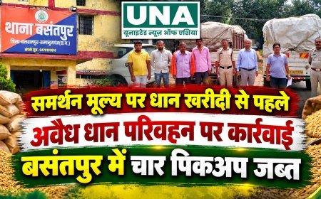 बसंतपुर में अवैध धान परिवहन पर कार्रवाई, चार पिकअप जब्त; मंडी शुल्क को लेकर भी उठे सवाल