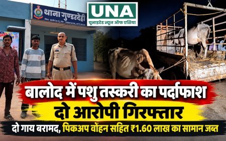 बालोद में पशु तस्करी के आरोप में दो गिरफ्तार, महाराष्ट्र ले जाई जा रहीं दो गाय बरामद, पिकअप समेत 1.60 लाख का सामान जब्त