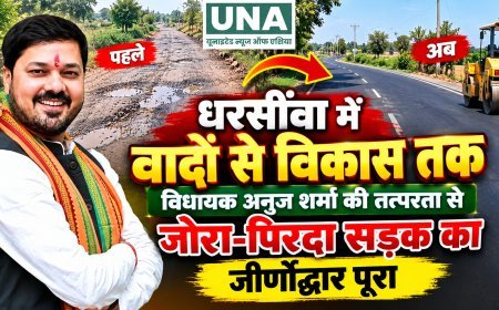 धरसींवा में विकास को नई रफ्तार: विधायक अनुज शर्मा के प्रयासों से जोरा-पिरदा सड़क का जीर्णोद्धार पूरा, ग्रामीणों को मिली राहत