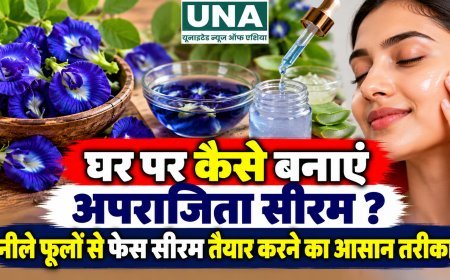 घर पर कैसे बनाएं अपराजिता सीरम? नीले फूलों से फेस सीरम तैयार करने का आसान तरीका