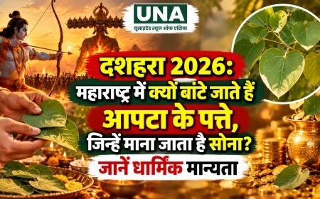 दशहरा 2026: महाराष्ट्र में क्यों बांटे जाते हैं आपटा के पत्ते, जिन्हें माना जाता है सोना? जानें धार्मिक मान्यता