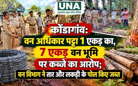 कोंडागांव: वन अधिकार पट्टा 1 एकड़ का, 7 एकड़ वन भूमि पर कब्जे का आरोप; वन विभाग ने तार और लकड़ी के पोल किए जब्त