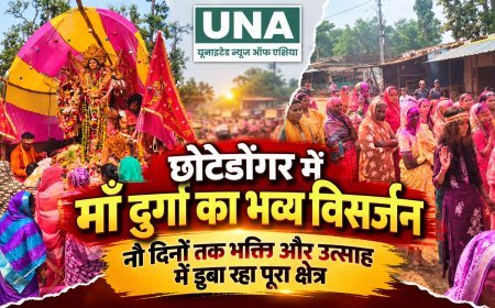 छोटेडोंगर में माँ दुर्गा का भव्य विसर्जन, नौ दिनों तक भक्ति और उत्साह में डूबा रहा पूरा क्षेत्र