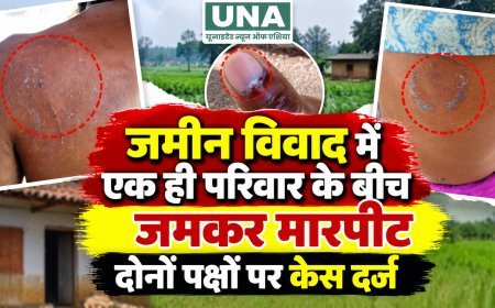 बालोद: जमीन विवाद में एक ही परिवार के दो पक्षों में मारपीट, दोनों पक्षों की शिकायत पर केस दर्ज
