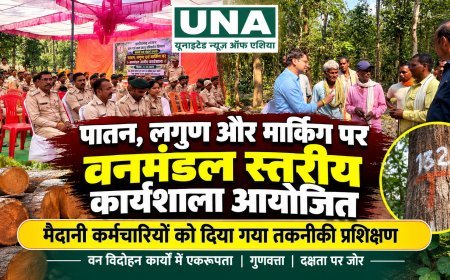 कवर्धा वनमंडल में पातन, लगुण एवं मार्किंग पर कार्यशाला आयोजित, मैदानी कर्मचारियों को दिया गया तकनीकी प्रशिक्षण