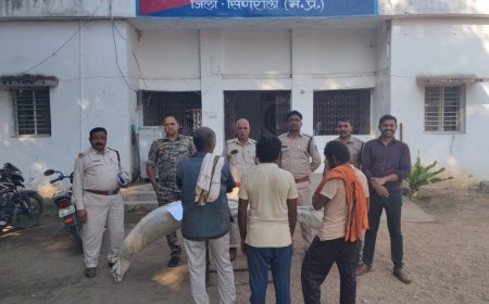सिंगरौली में मक्का-अरहर की फसल के बीच उगा रहे थे गांजा, तीन आरोपी गिरफ्तार