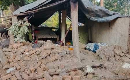 मुंगेली: वनांचल क्षेत्र के जमुनाही गांव में हाथियों का उत्पात, घर क्षतिग्रस्त और मवेशियों की मौत