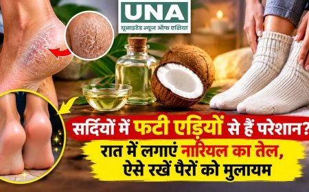 सर्दियों में फटी एड़ियों से हैं परेशान? रात में लगाएं नारियल का तेल, ऐसे रखें पैरों को मुलायम