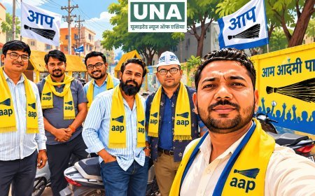 बिरगांव नगर निगम चुनाव में सभी 40 वार्डों और महापौर पद पर चुनाव लड़ेगी आम आदमी पार्टी