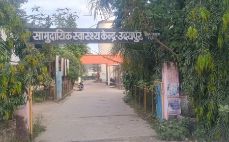 उदयपुर में हाथी के हमले से 60 वर्षीय बुजुर्ग महिला घायल, वन अमले ने रात डेढ़ बजे अस्पताल में कराया भर्ती