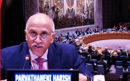 भारत का दोटूक रुख: बिना वीटो पावर के UNSC की स्थायी सदस्यता मंजूर नहीं, ‘सेकंड क्लास स्टेटस’ से इनकार