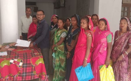 समाजसेवी संजय विश्वकर्मा की पहल पर जनसुनवाई में उठा ग्रामीणों का मुद्दा, डिप्टी कलेक्टर ने दिए त्वरित कार्रवाई के निर्देश