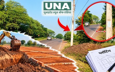 गुण्डरदेही में भू-माफियाओं के हौसले बुलंद! कृषि भूमि पर अवैध प्लाटिंग के आरोप, सड़क किनारे विद्युत पोल से हादसे का खतरा