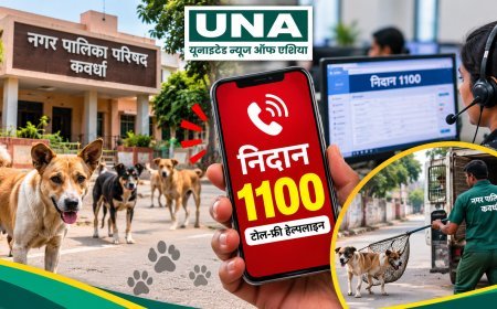 कवर्धा में आवारा कुत्तों की समस्या पर नगर पालिका की पहल, शिकायत के लिए डायल करें हेल्पलाइन नंबर 1100