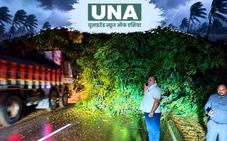 बालोद में चक्रवात ‘अर्नब’ का असर! नेशनल हाईवे-930 पर गिरा पेड़, प्रशासन ने तत्काल शुरू की कार्रवाई