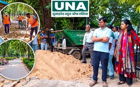 रायपुर: मिनी माता गार्डन और नमस्ते चौक में विशेष सफाई अभियान, जनशिकायतों का त्वरित निदान