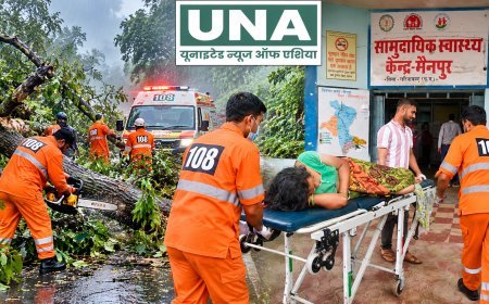 तूफान में फंसी प्रसूता तक पहुंची 108 एंबुलेंस टीम, पेड़ काटकर बनाया रास्ता; पेश की मानवता की मिसाल