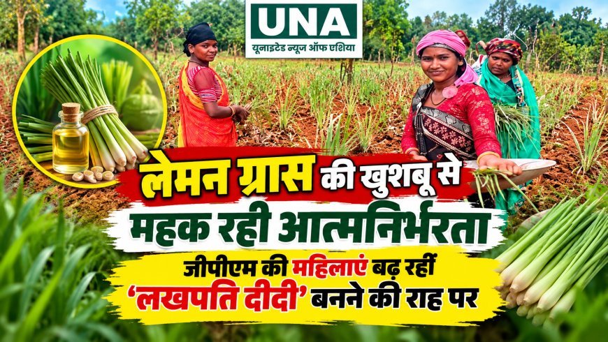 लेमन ग्रास की खेती से आत्मनिर्भर बन रहीं जीपीएम की महिलाएं, ‘लखपति दीदी’ बनने की राह पर बढ़े कदम