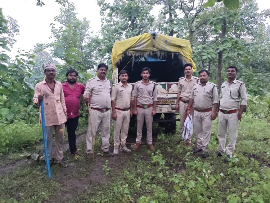 केसली में वन विभाग की बड़ी कार्रवाई, सागौन तस्करी में तीन दर्जन आरोपियों पर प्रकरण दर्ज