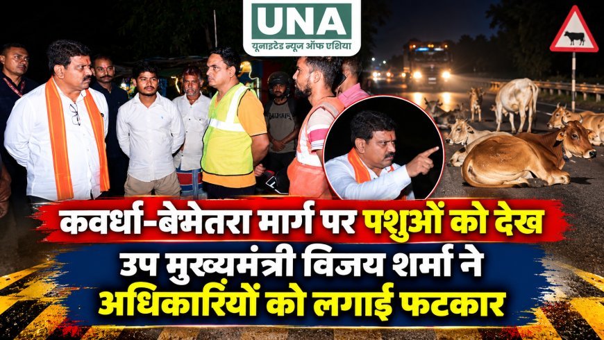 कवर्धा-बेमेतरा मार्ग पर पशुओं को देख उप मुख्यमंत्री विजय शर्मा ने अधिकारियों को लगाई फटकार