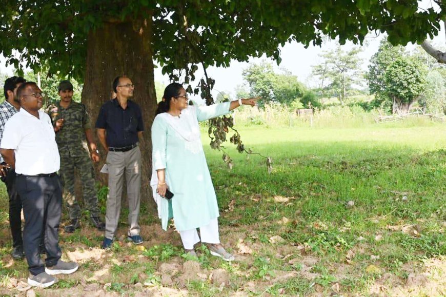 पोलमी के खेत में पहुंचीं कलेक्टर तुलिका प्रजापति, नॉन-डीसीएस फसलों के सत्यापन का किया निरीक्षण