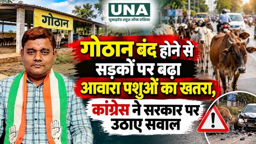 गोठान बंद होने से सड़कों पर बढ़ा आवारा पशुओं का खतरा, कांग्रेस ने सरकार पर उठाए सवाल
