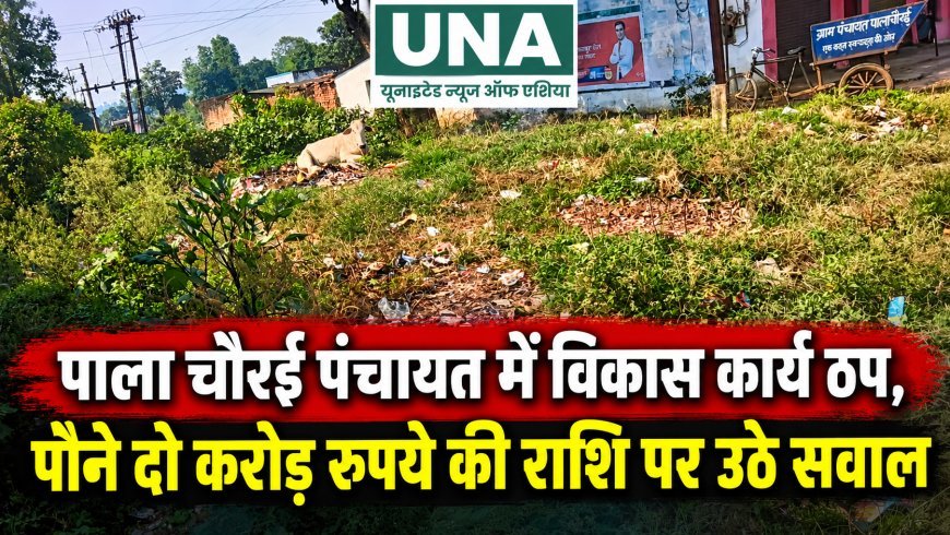 पाला चौरई पंचायत में विकास कार्य ठप, पौने दो करोड़ रुपये की राशि पर उठे सवाल