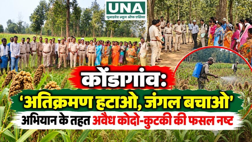 कोंडागांव: ‘अतिक्रमण हटाओ, जंगल बचाओ’ अभियान के तहत अवैध कोदो-कुटकी की फसल नष्ट