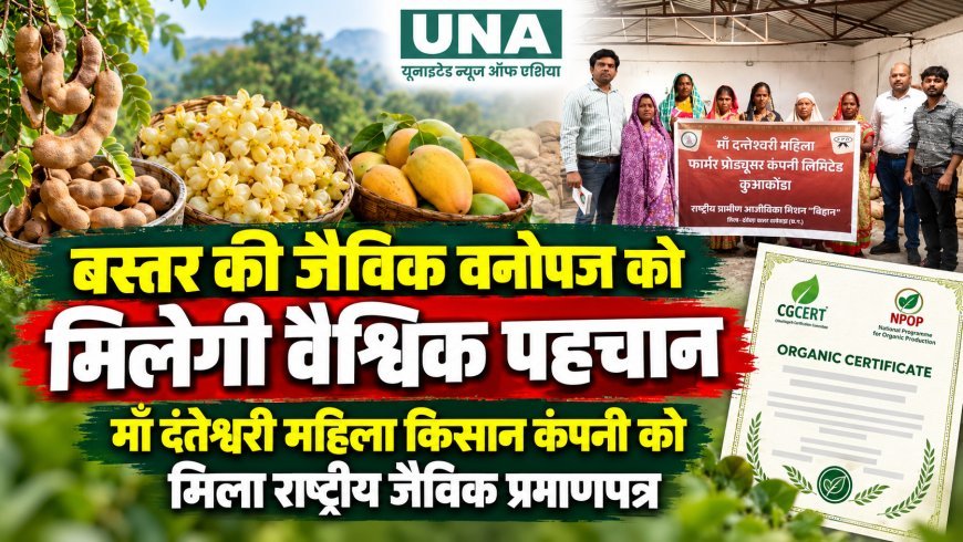 बस्तर की जैविक वनोपज को मिलेगी वैश्विक पहचान, माँ दंतेश्वरी महिला किसान कंपनी को मिला राष्ट्रीय जैविक प्रमाणपत्र