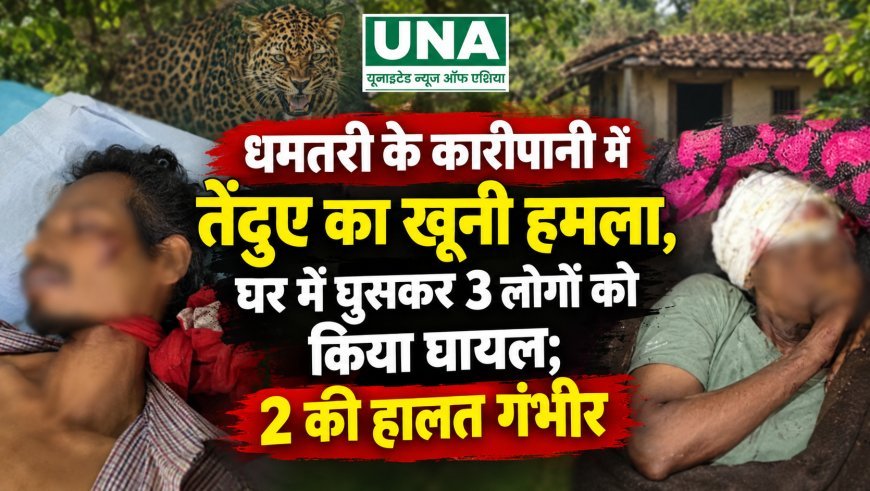 धमतरी के कारीपानी में तेंदुए का खूनी हमला, घर में घुसकर 3 लोगों को किया घायल; 2 की हालत गंभीर