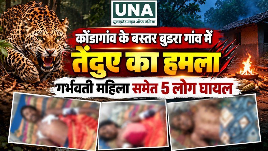 कोंडागांव के बस्तर बुडरा गांव में तेंदुए का हमला, गर्भवती महिला समेत 5 लोग घायल