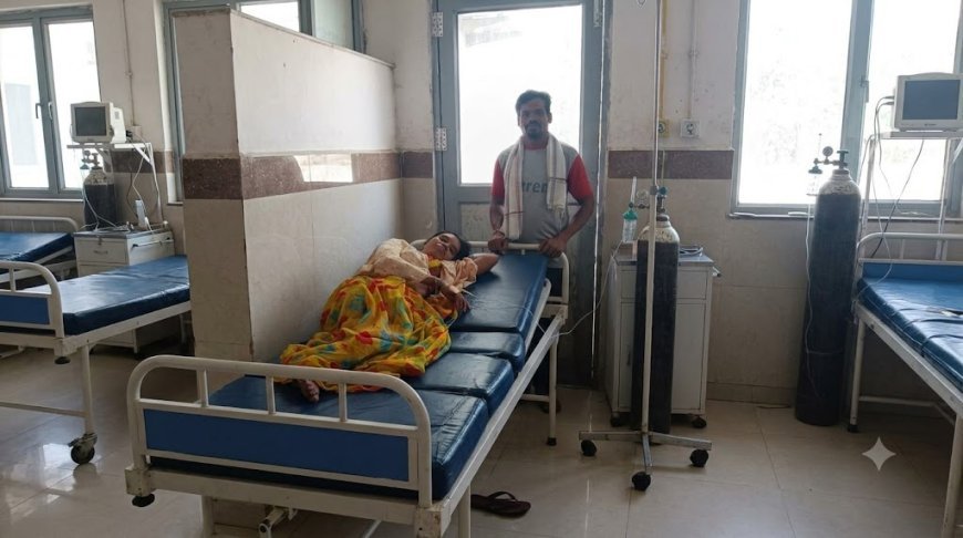 धमतरी के नगरी में जहरीला कंद खाने से तीन महिलाएं बीमार, अस्पताल में भर्ती; डॉक्टर ने बताया खतरे से बाहर