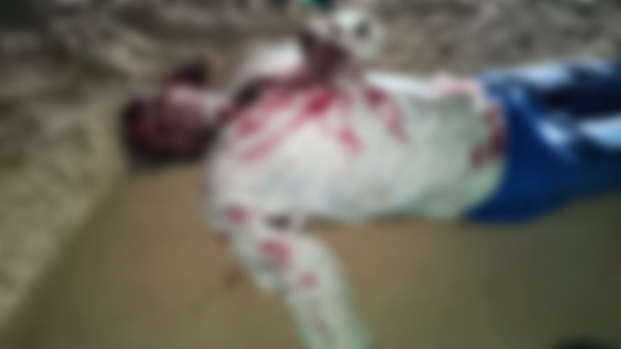 धमतरी के नगरी-सिहावा में तेंदुए का आतंक, 9 लोगों को घायल करने के बाद ग्रामीण तेजलाल यादव पर जानलेवा हमला