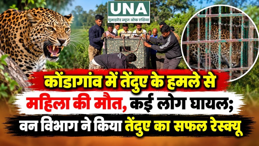 कोंडागांव में तेंदुए के हमले से महिला की मौत, कई लोग घायल; वन विभाग ने किया तेंदुए का सफल रेस्क्यू