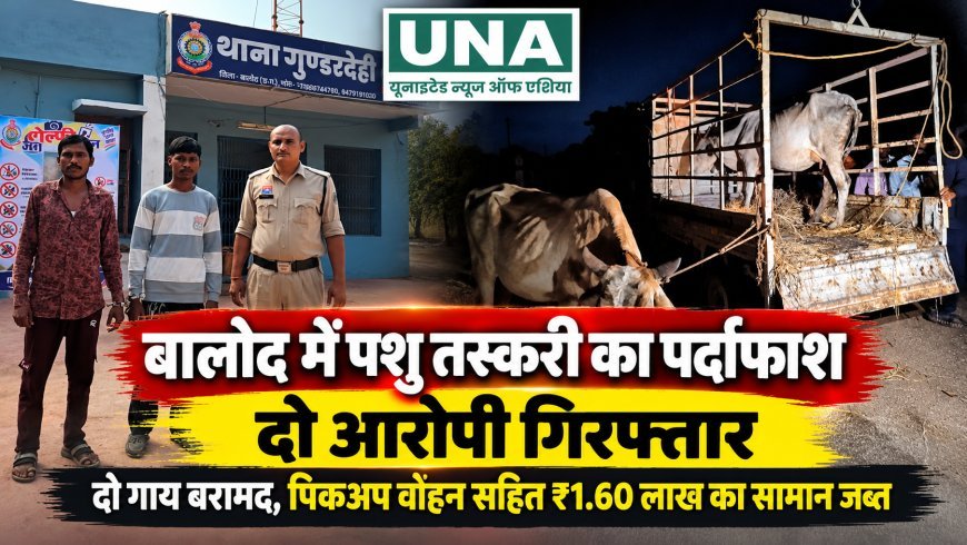 बालोद में पशु तस्करी के आरोप में दो गिरफ्तार, महाराष्ट्र ले जाई जा रहीं दो गाय बरामद, पिकअप समेत 1.60 लाख का सामान जब्त