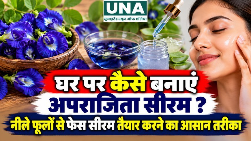 घर पर कैसे बनाएं अपराजिता सीरम? नीले फूलों से फेस सीरम तैयार करने का आसान तरीका