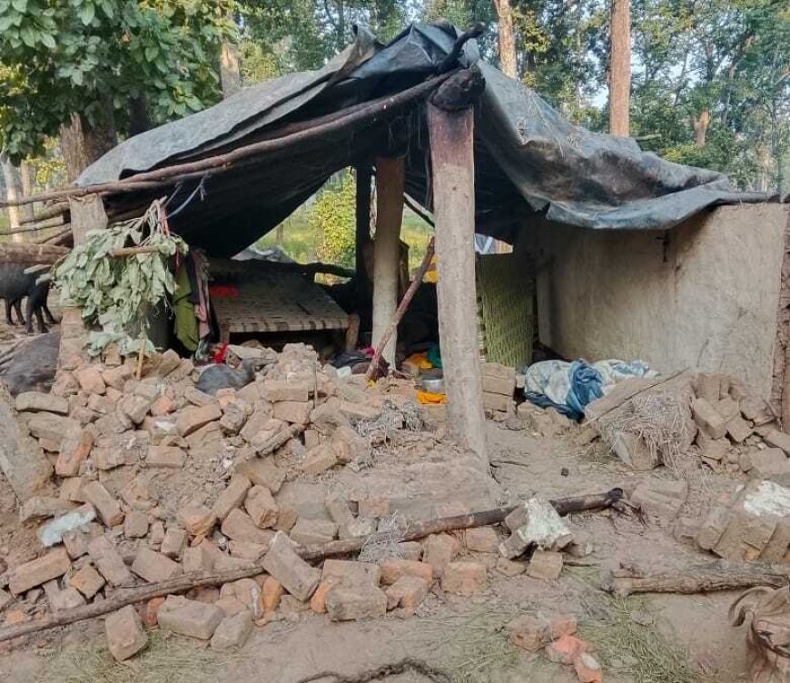 मुंगेली: वनांचल क्षेत्र के जमुनाही गांव में हाथियों का उत्पात, घर क्षतिग्रस्त और मवेशियों की मौत