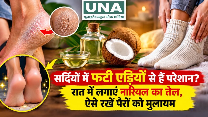 सर्दियों में फटी एड़ियों से हैं परेशान? रात में लगाएं नारियल का तेल, ऐसे रखें पैरों को मुलायम