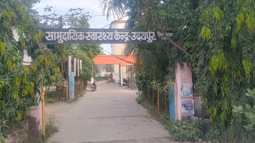 उदयपुर में हाथी के हमले से 60 वर्षीय बुजुर्ग महिला घायल, वन अमले ने रात डेढ़ बजे अस्पताल में कराया भर्ती