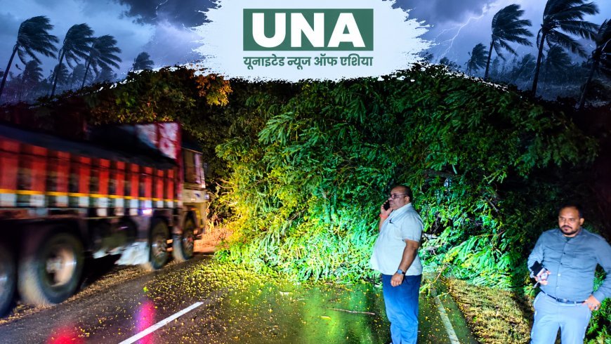 बालोद में चक्रवात ‘अर्नब’ का असर! नेशनल हाईवे-930 पर गिरा पेड़, प्रशासन ने तत्काल शुरू की कार्रवाई